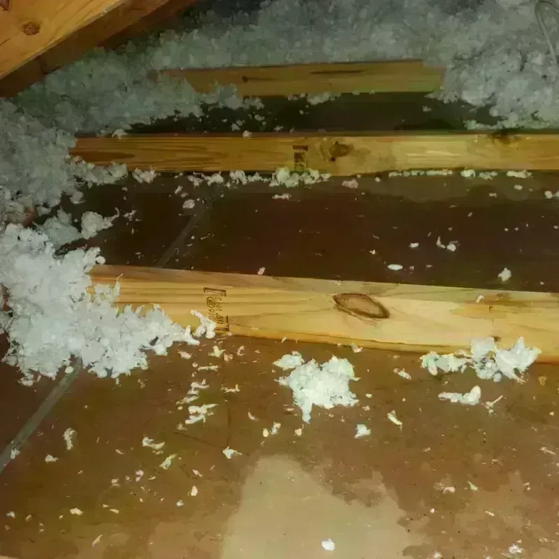 Attic Water Damage in Edwards Air Force Base, CA